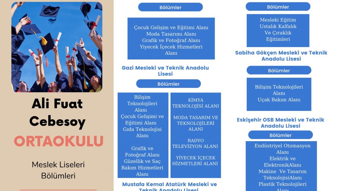 Eskişehir'de Bulunan Meslek Liseleri Tanıtım Afiş Ve Broşürleri Yayında